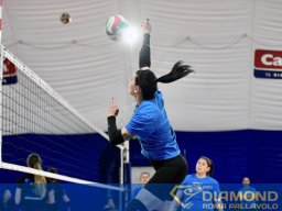 _D5S9428