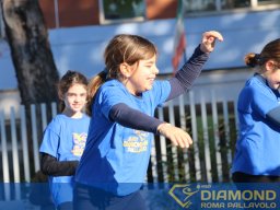 IMG_7172bis
