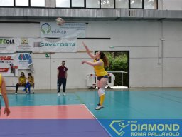 dsc_8568
